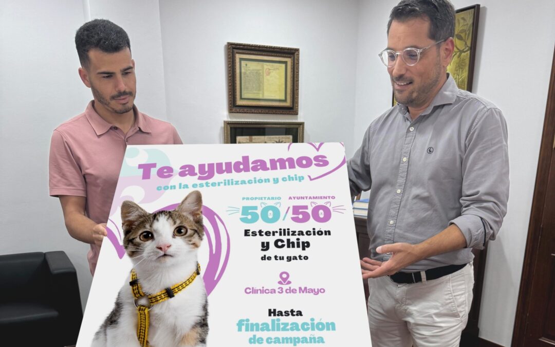 Los Realejos ayuda con el 50% de costos de esterilización y chip de gatos